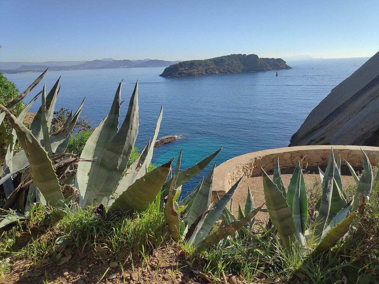L'&Icirc;le Verte vue depuis la c&ocirc;te, eau turquoise et agaves au premier plan